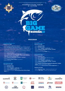 program